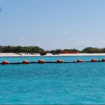 سطح صاف UHMWPE لوله اکستروژن تولید با بولت و مغز شامل صدور گواهینامه ISO9001